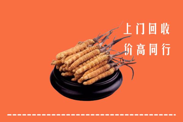 收购行情：玉溪市元江回收散虫草
