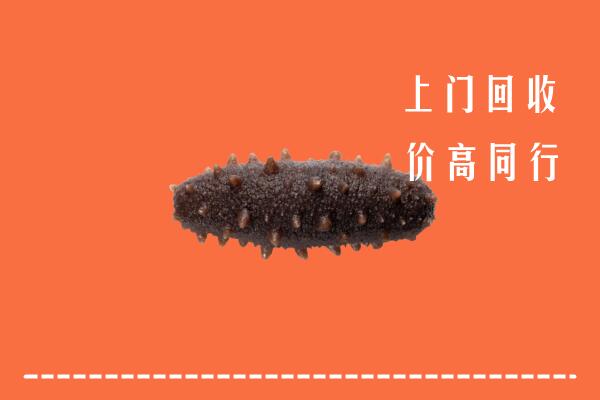 附近收购：玉溪市元江回收海参