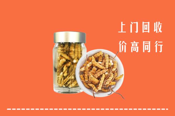 玉溪市元江回收冬虫夏草